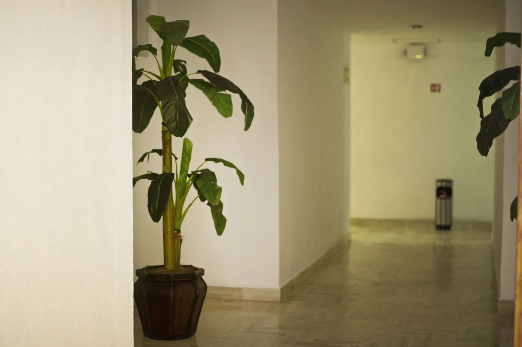 HOTEL DON MIGUEl