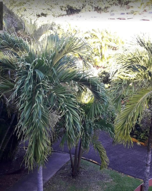 Studio a Sainte Anne a 100 m de la plage avec jardin clos et wifi