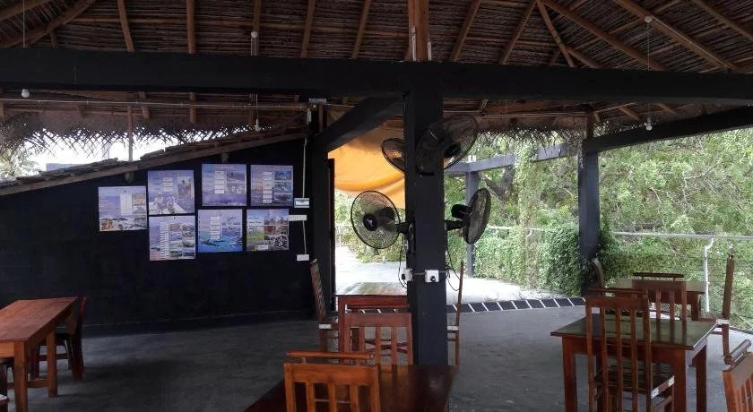 Blue Whale Nilaveli