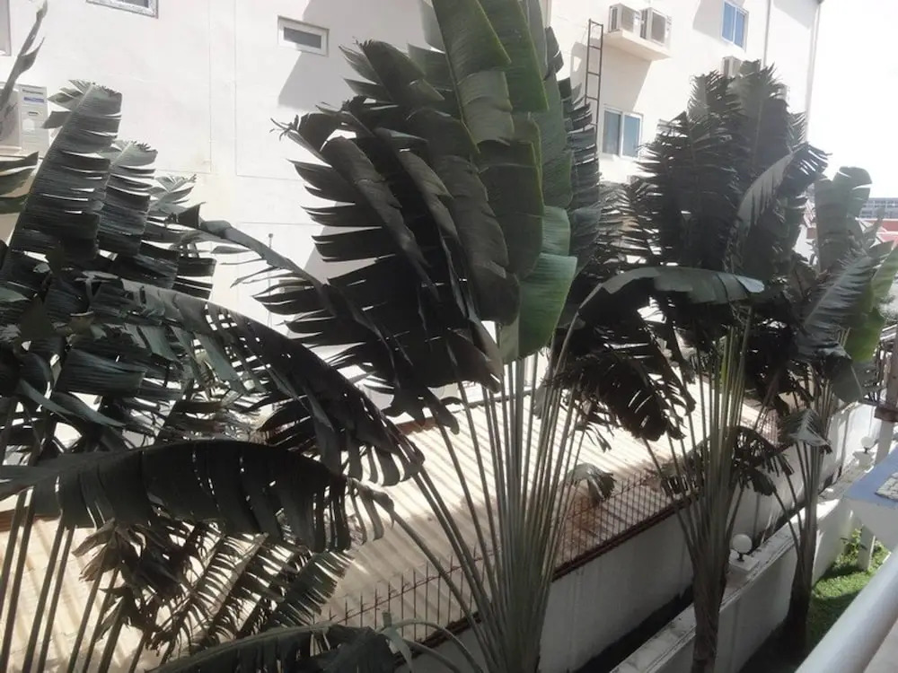 1 Bedroom View Swimming Pool 316 Jhr