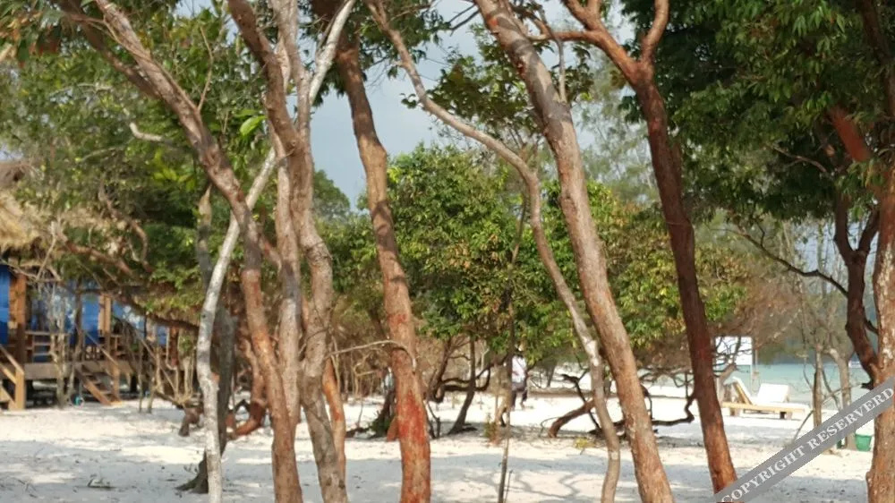 Natural Island