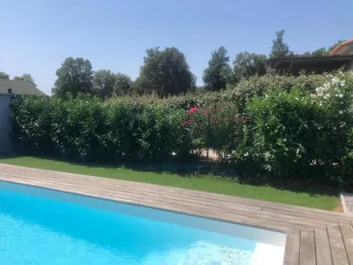 Chez Muriel