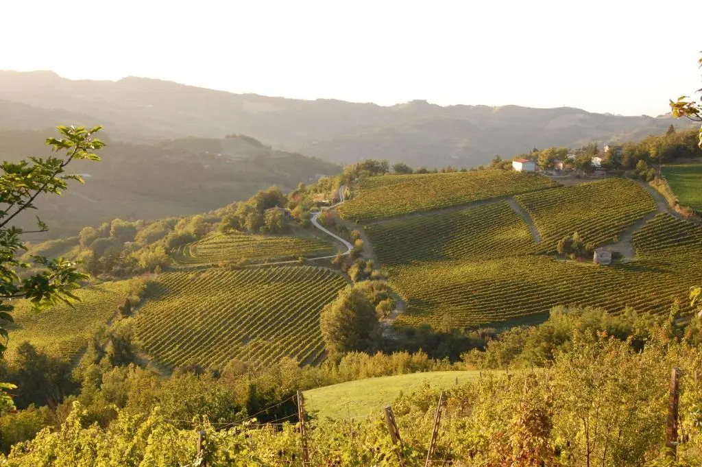 Podere Quartarola