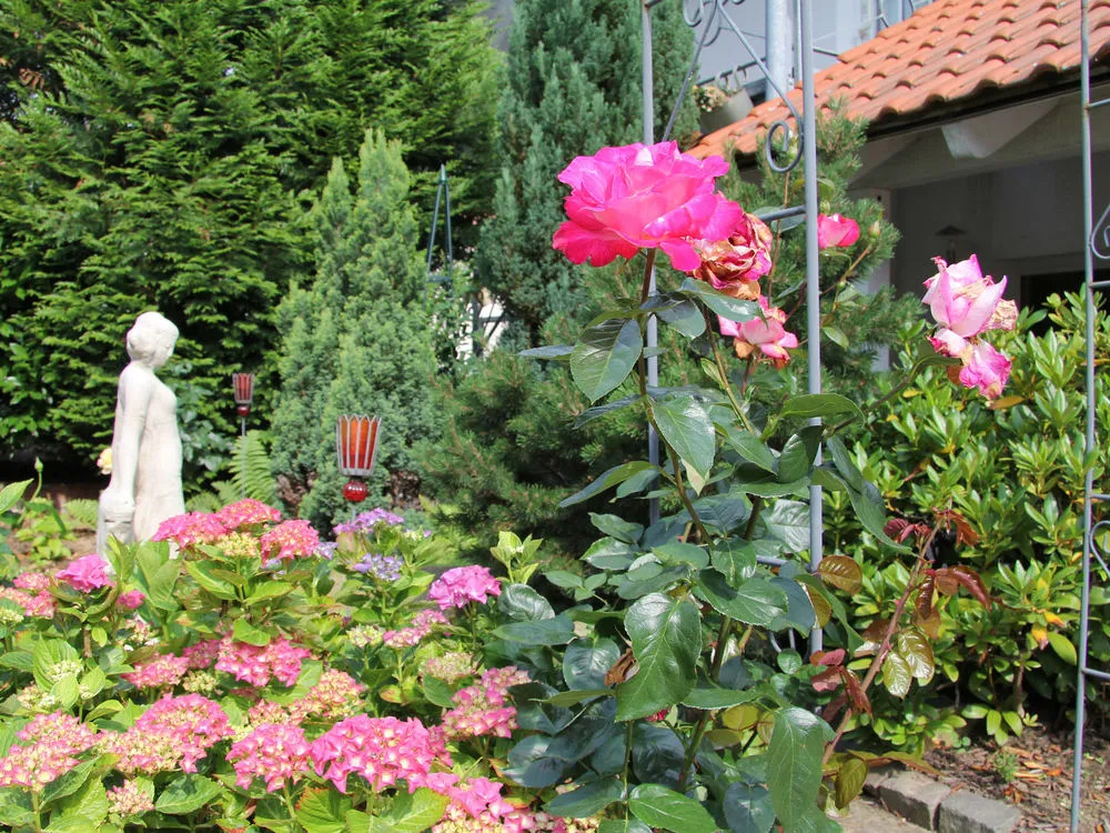 No.31 B&B im Rosengarten