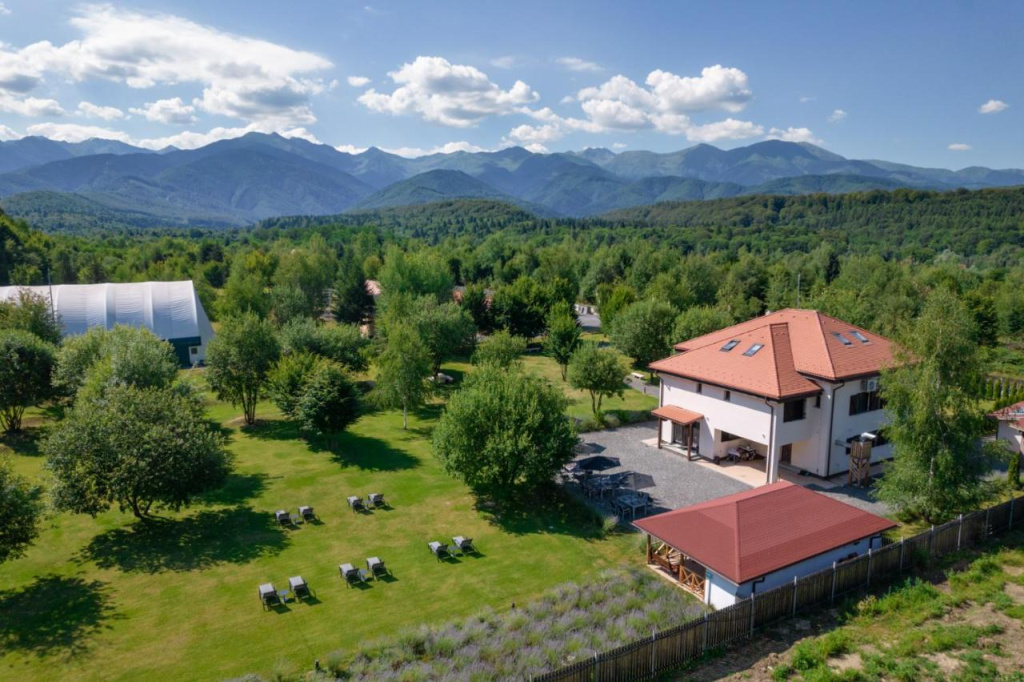 Pensiunea Negoiu