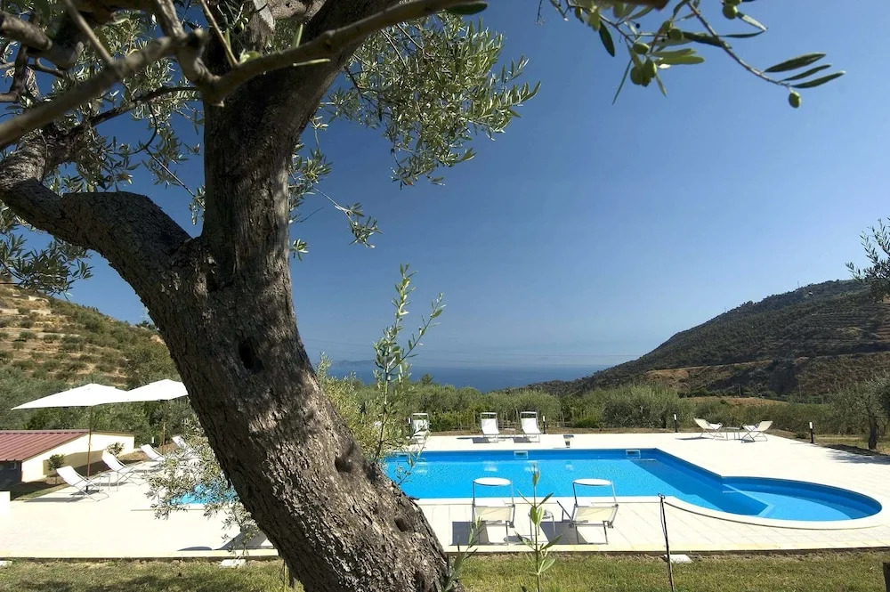 La Collina degli Ulivi - Casa Ulivi 1
