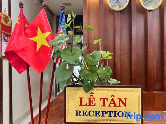 Tulip Hotel Sapa