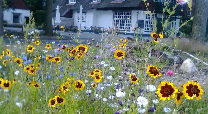 Holiday home Exloo