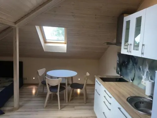 DOMINA