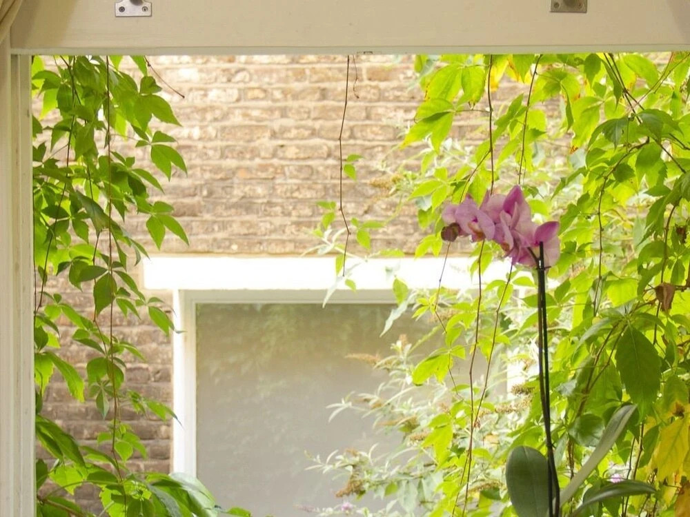 Notting Hill Garden Studios