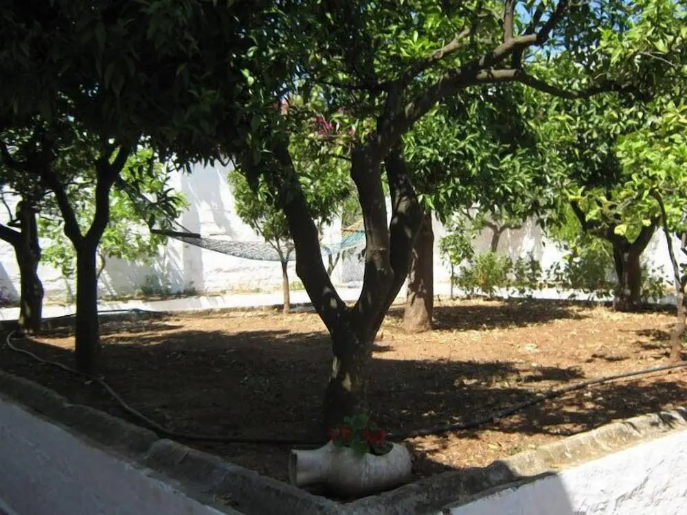 Masseria Rienzo