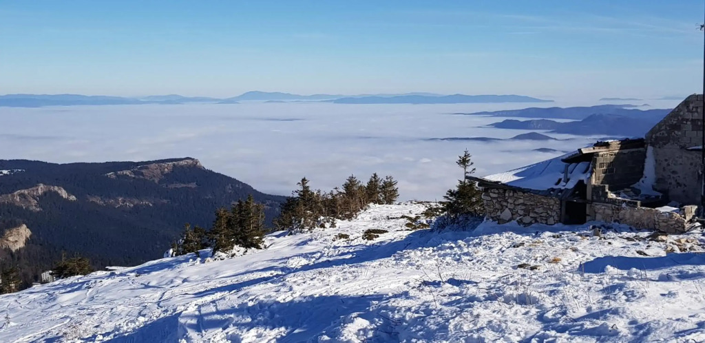 Olimpijska kuca A208