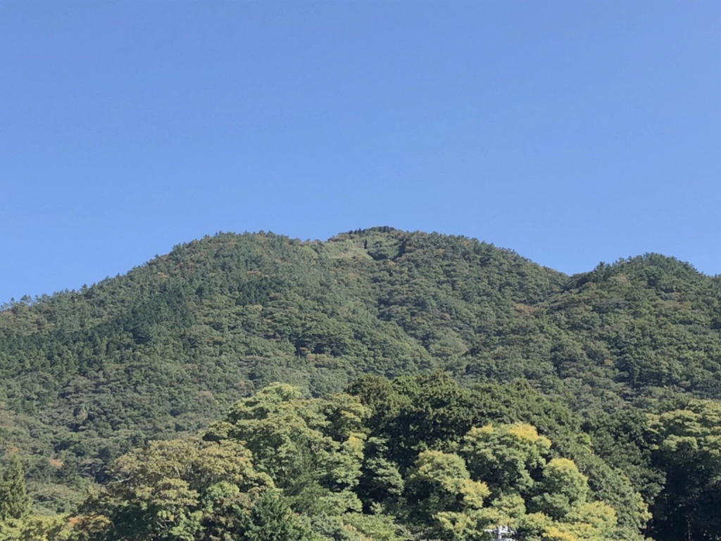 Hakone Garden House