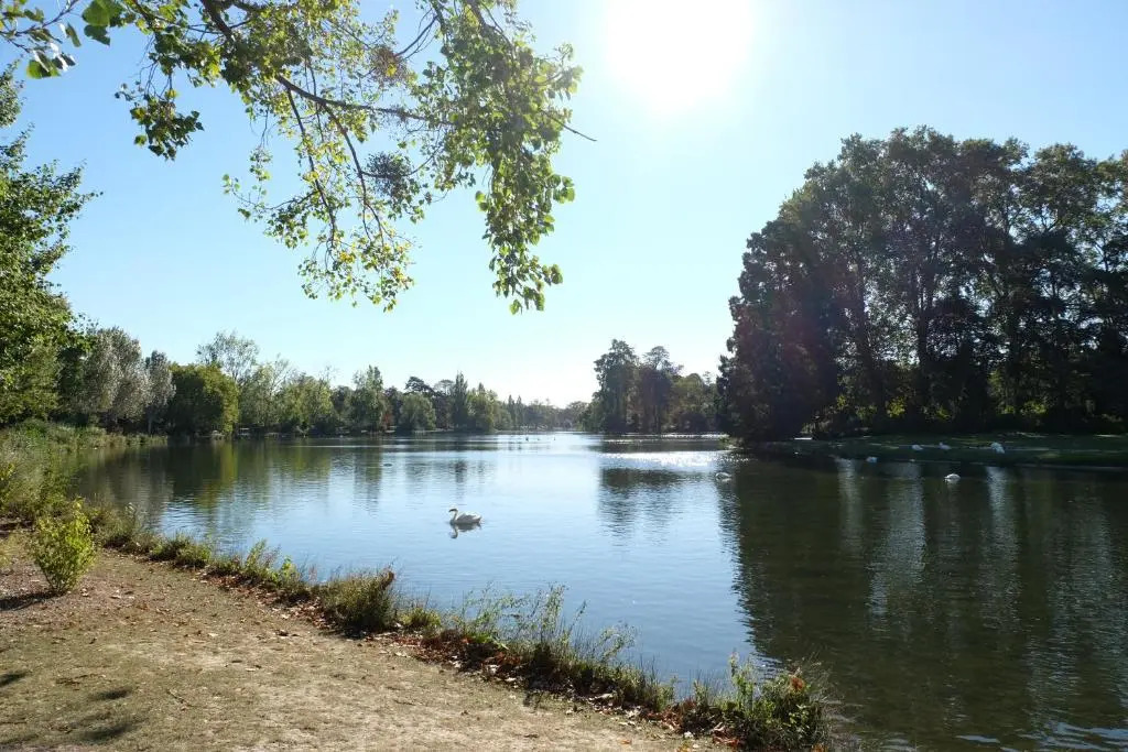 ibis Daumesnil Porte Doree