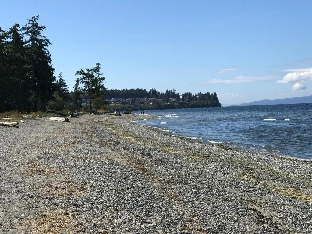 Driftwood Lodge