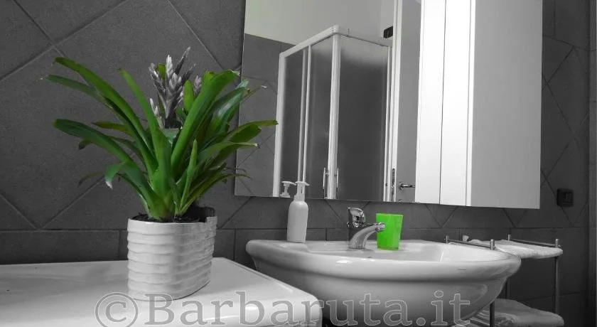 Barbaruta RTA