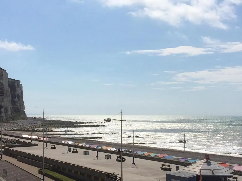 Salicorne avec vue sur mer