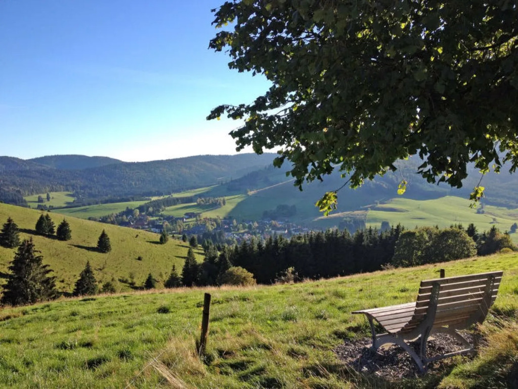 Schwarzwaldblick 30396