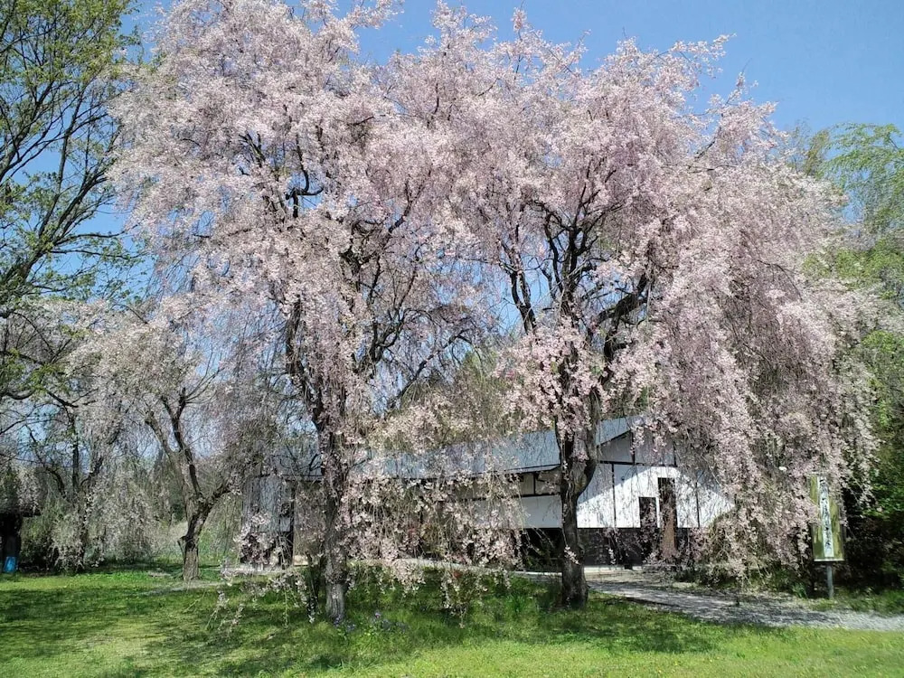 Kagoiwa Onsen Ryokan