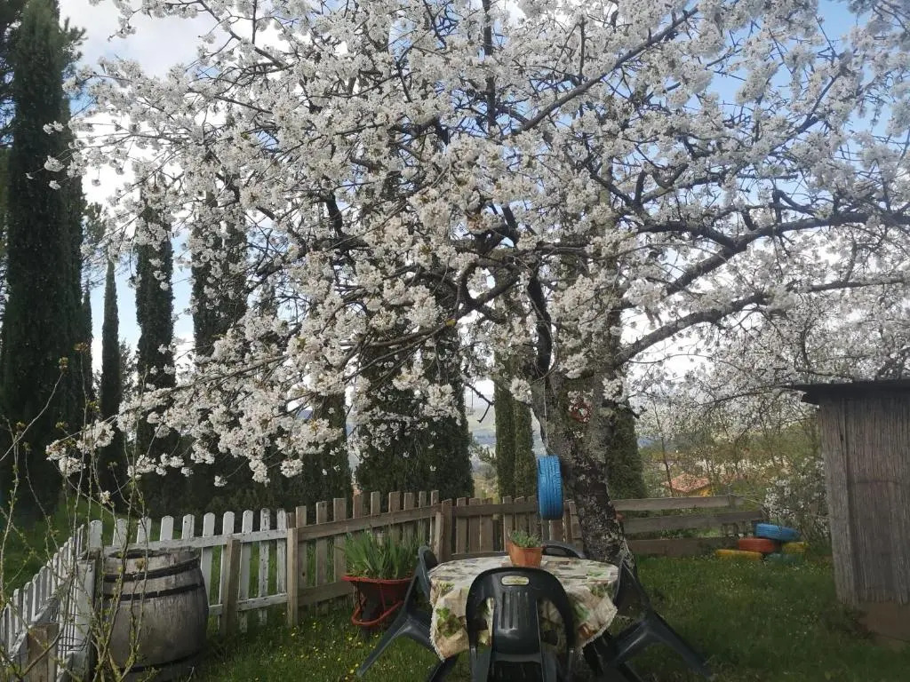 La casa di Nonno