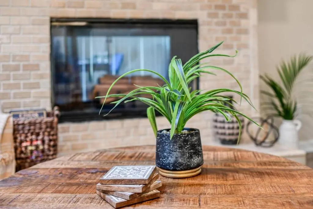Tiki Nest