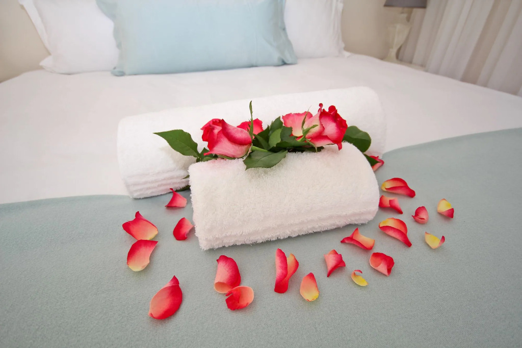 Beluga of Constantia Guest House