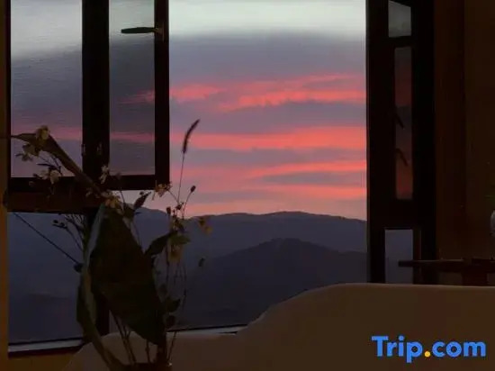 Yunshan Pu Tea|Tea Fire Pond Roasted Tea·Cloud Sea Music homestay(Jingmai Mountain Area Store)