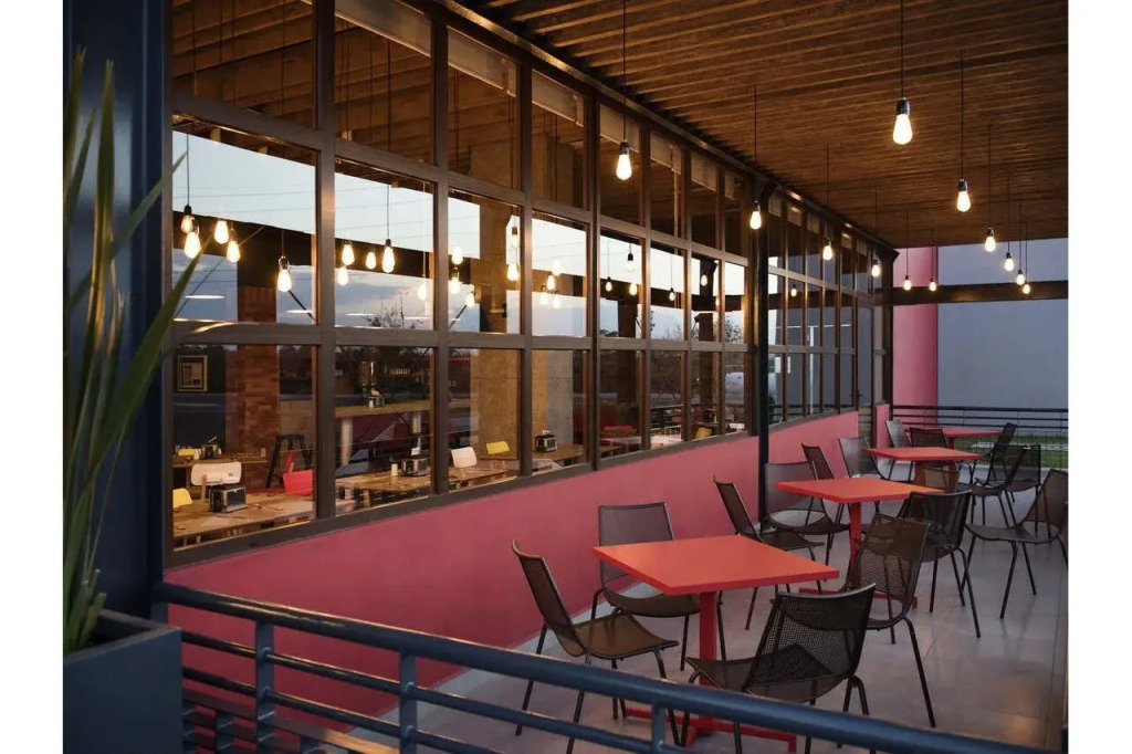 Ibis Irapuato