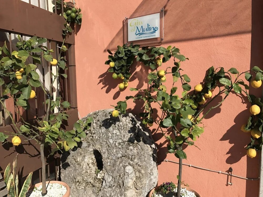 Giu al Mulino