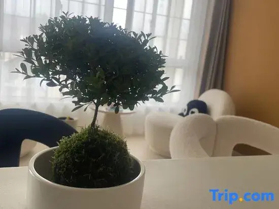 Pushang Shanju coffee & bar Guesthouse (Yucun Liangshan)