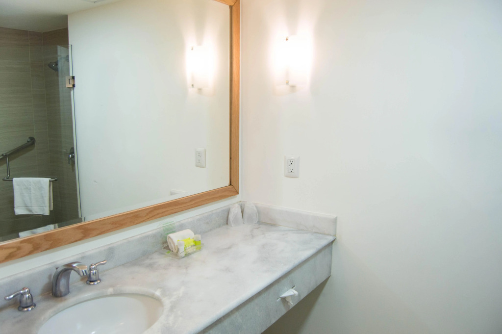 Holiday Inn Hotel & Suites Centro Historico by IHG