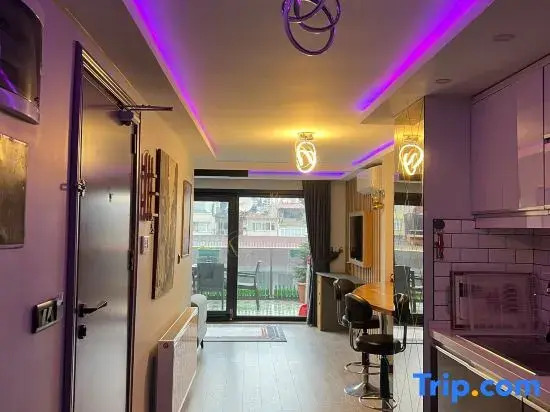Stylish Apartment with Bosphorus View