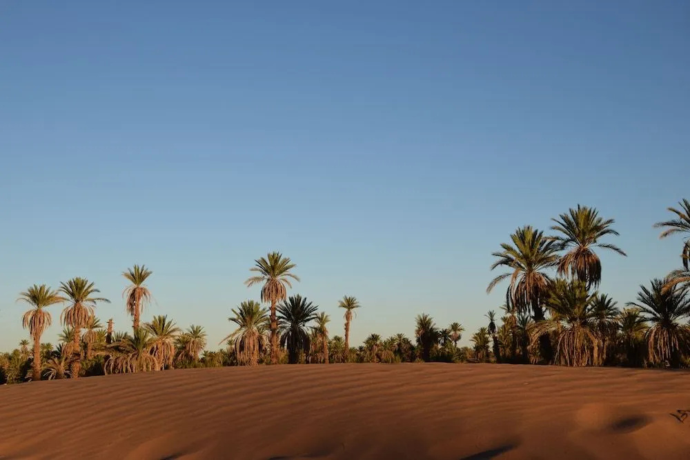 Carrefour des Nomades