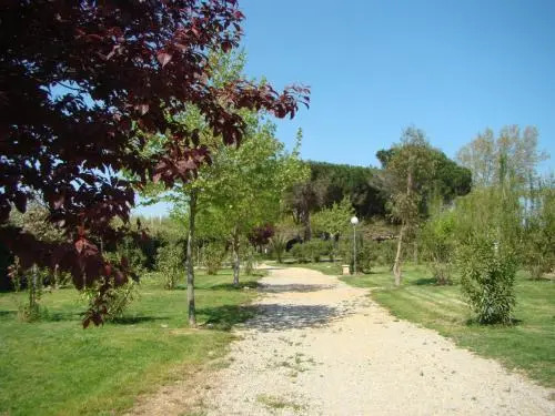 Camping Cap Sud