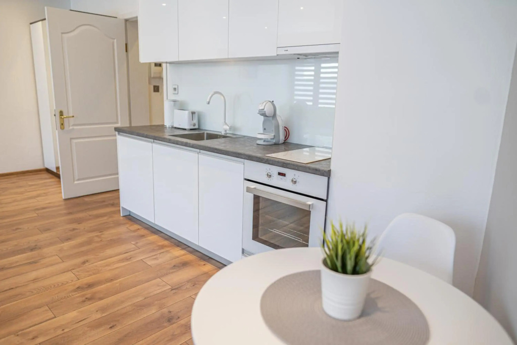 Shushi's Central Studio Apartment