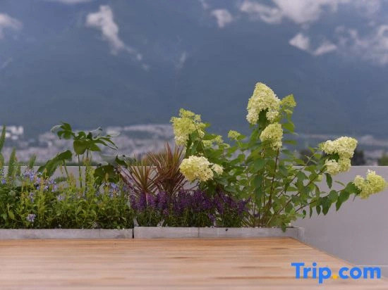 Senyu · Forest | Cangshan View Countryside Homestay (Longkan Wharf Branch)