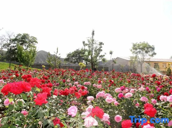 Beijing Lipao Gardening Town B&B Resort (Badaling Great Wall Branch)