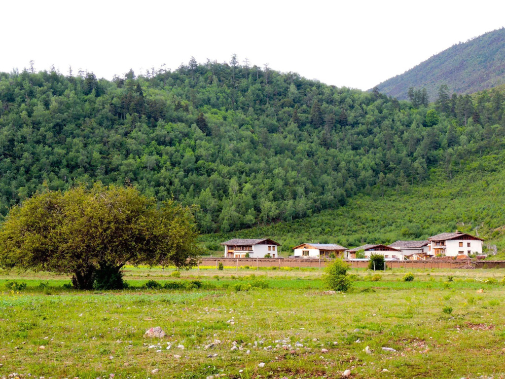 Dimu Retreat