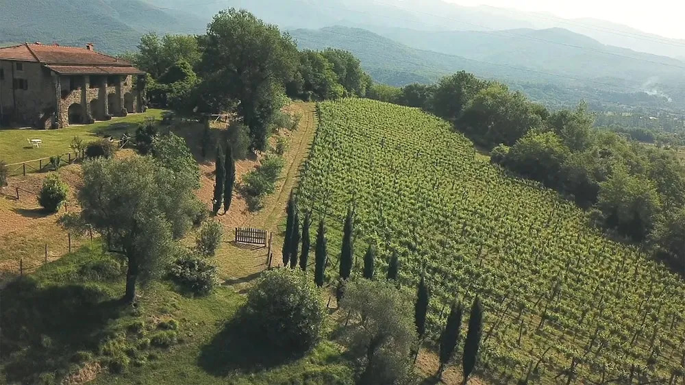 Azienda Agrituristica Ca' del Bosco