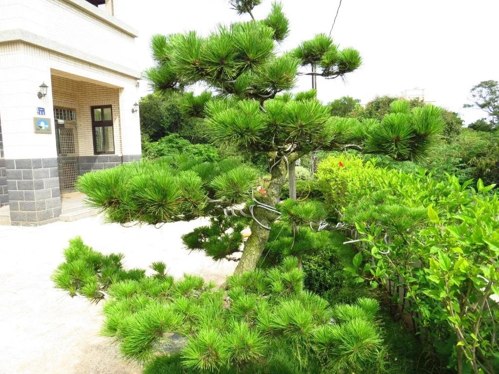 馨悅民宿