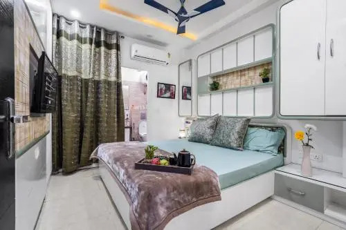 Entire World Class Apartment near Metro Station