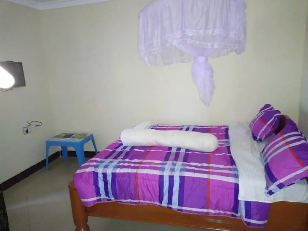 The Palm Lodge