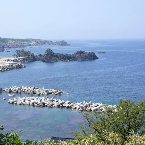 Senkakuso
