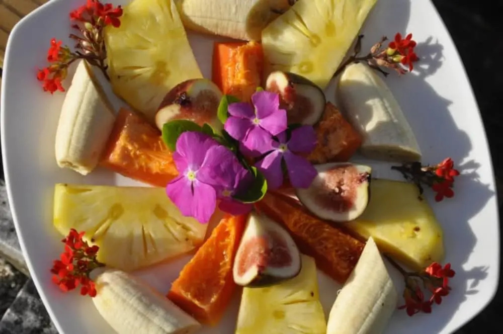 Le Coconut Lodge