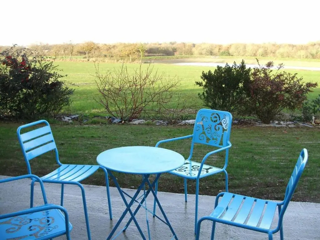 Gîte authentique avec cheminée, terrasse privée, accessible PMR, pêche et activités ULM - Vendée - FR-1-426-431