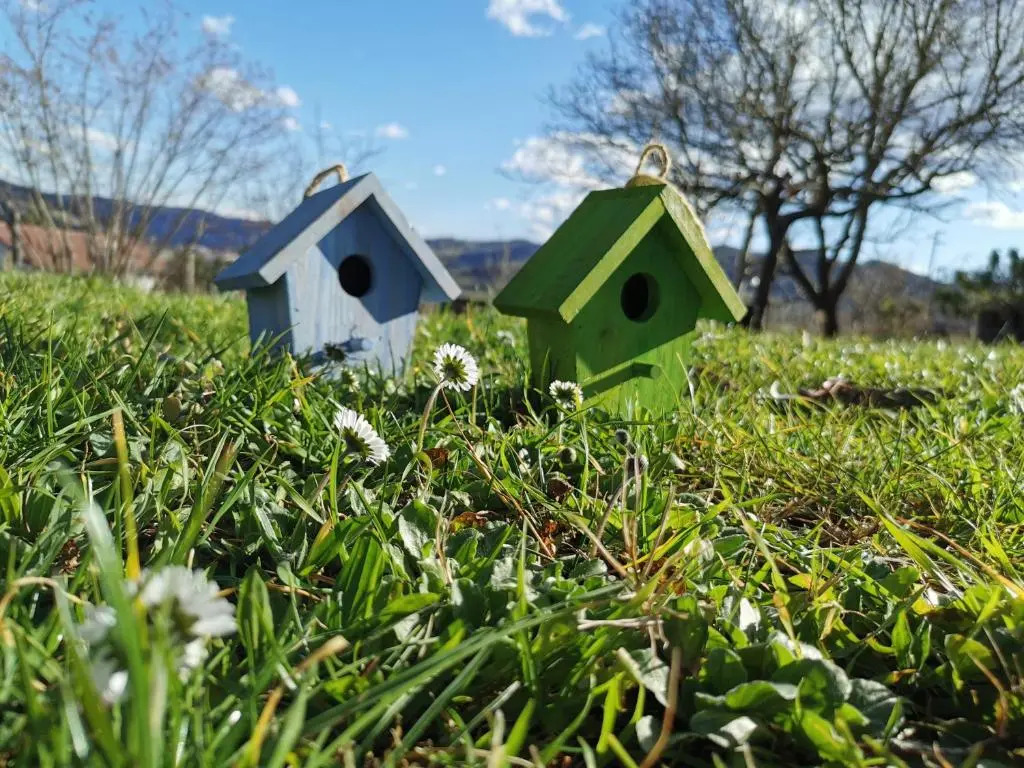 Agriturismo Mondo