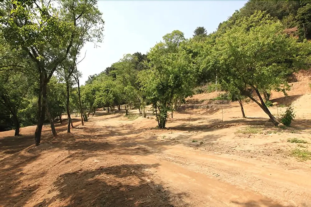 Yangpyeong Saen Farm Pension