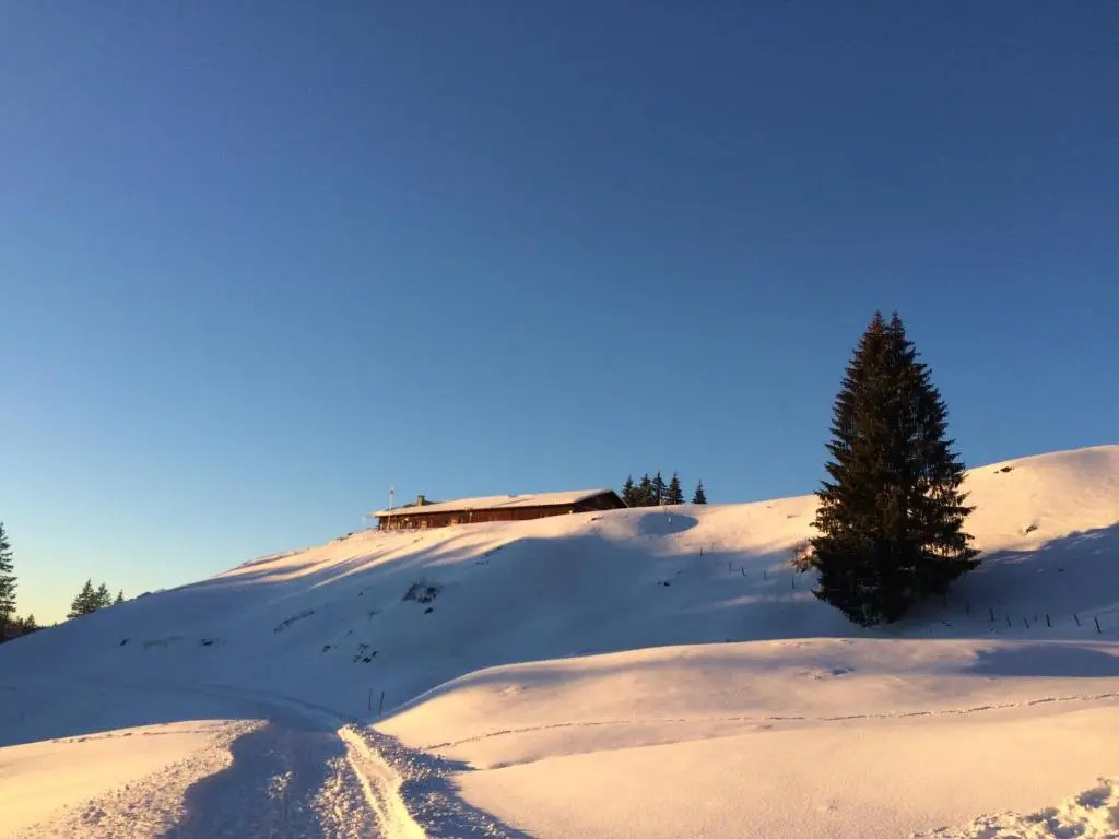 Wintertraum im Allgäu Alpine und Deluxe Sonnenwinkel, 4 Sterne Klassifiziert, WLAN gratis, großer Balkon mit Bergsicht, ruhig und doch zentral gelegen, tolle neu renovierte Ferienwohnung mit separaten Schlafzimmer, Brötchenservice, Hunde auf Anfrage