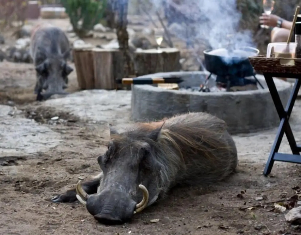 Marloth Kruger Accommodation