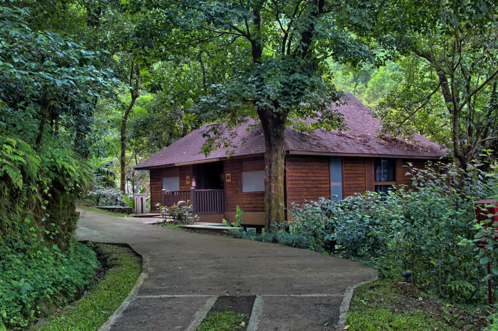 The Tamara Coorg